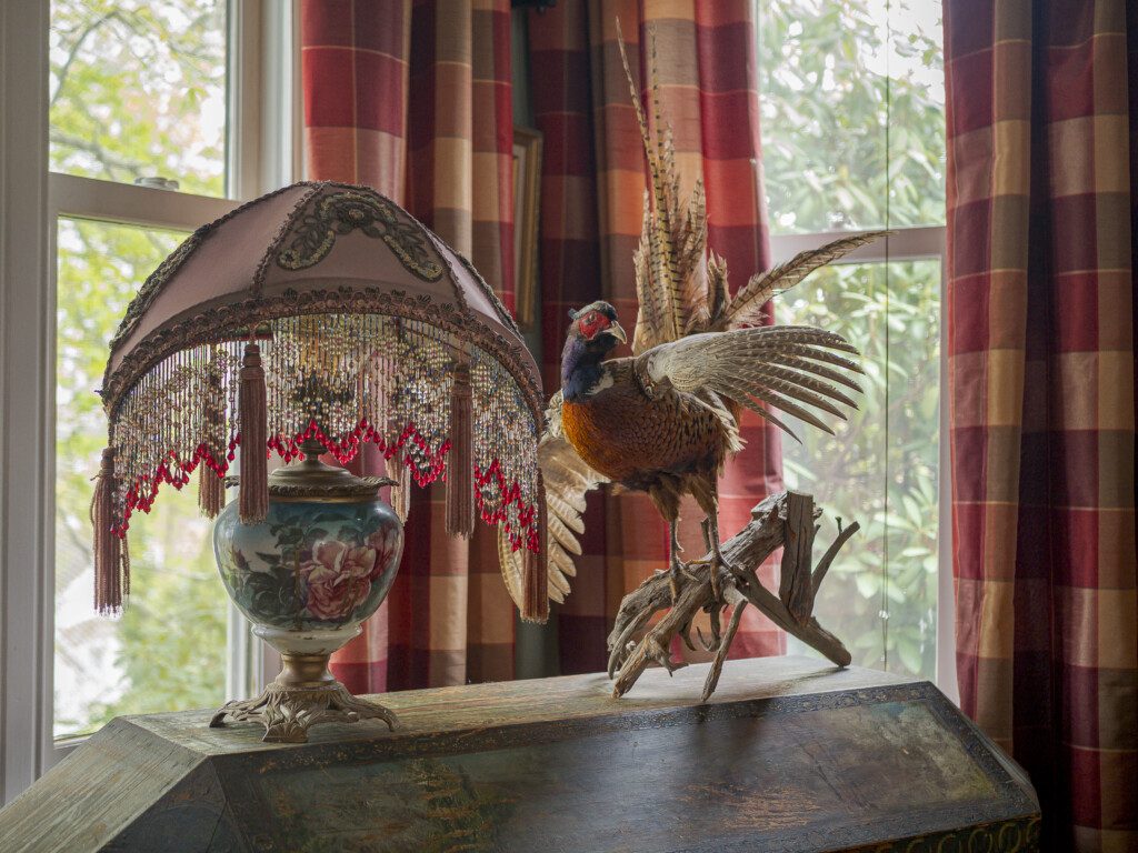 3220dd0d 8255 4c74 8103 7f24d1c3a893.jpg