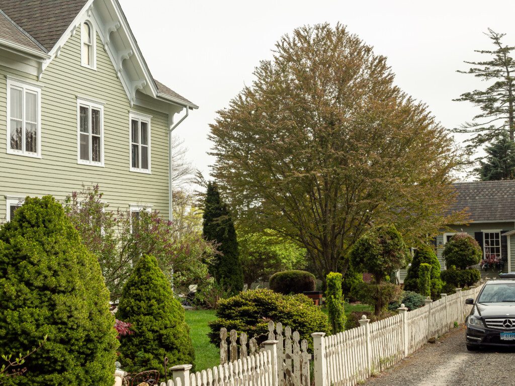 3fbc69b1 aed2 41e6 931f 9b29236cfe3a.jpg