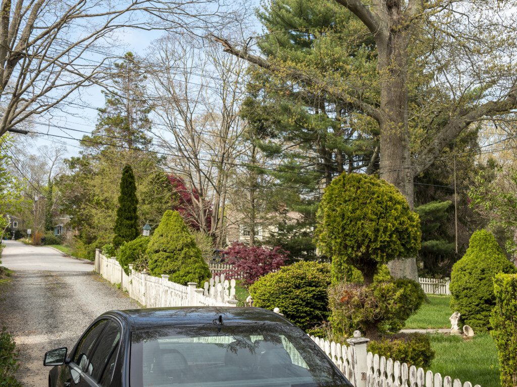 fc3ea0f9 4681 4560 9580 51f5ecfcc4dd.jpg