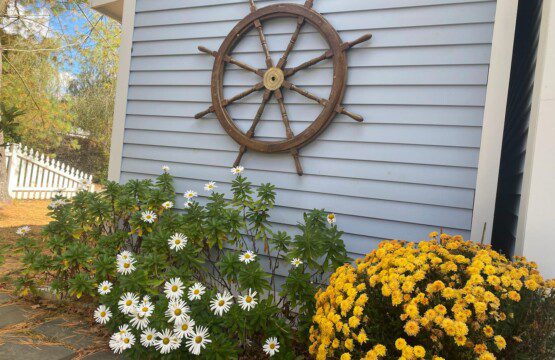 05d1a763 9718 4657 bd36 6724ab760d28