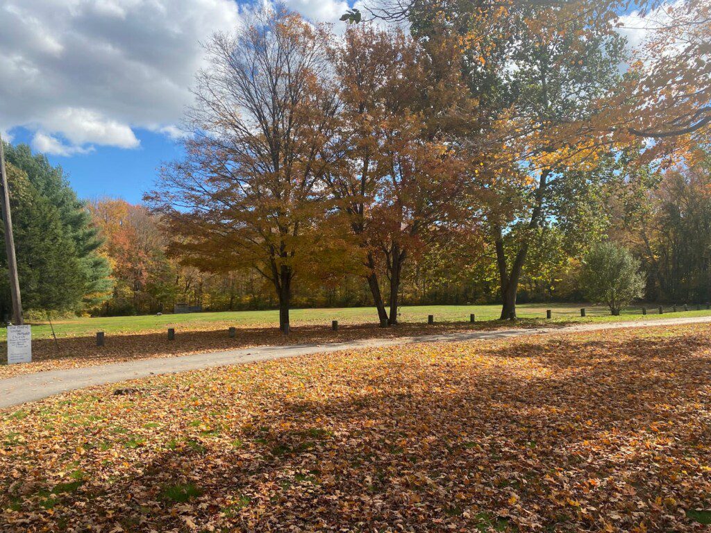 5b4ade35 770b 4ceb aaa5 6b8235cf5c8a