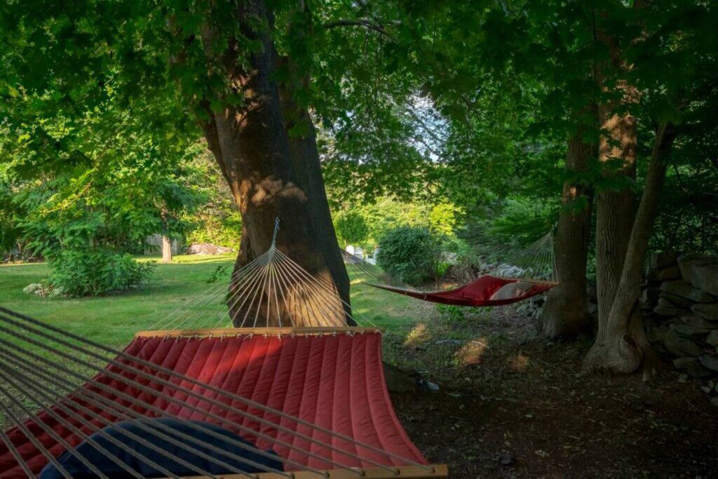 88d07e47 5e85 4094 a0b5 e49a5ed814c2