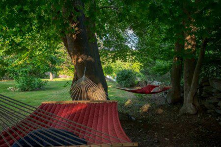 88d07e47 5e85 4094 a0b5 e49a5ed814c2