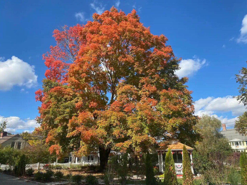 9a004f23 5f23 4560 b410 396c4b276aa6