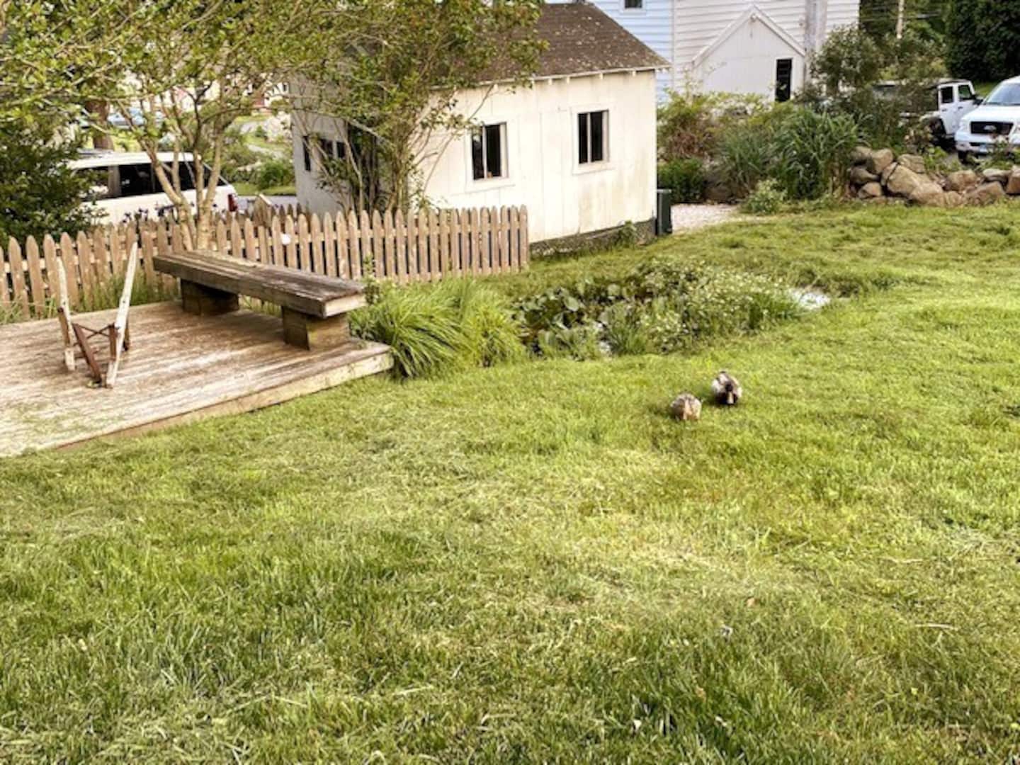 c707dc1d 2205 491d ba4e d8f872cc661f