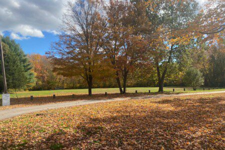 d070f701 b6f3 44f9 95ec 7c66ca6c9df4